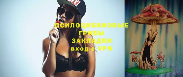 стаф Балахна