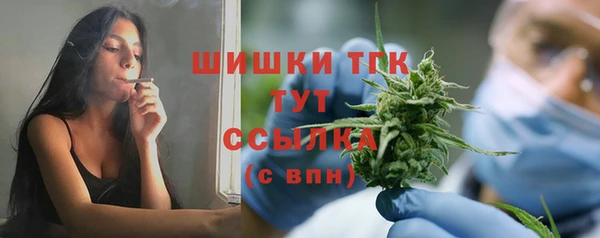 стаф Балахна