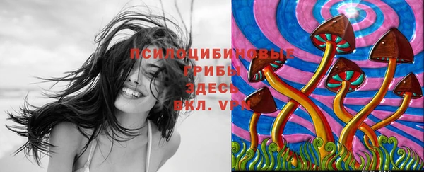 стаф Балахна