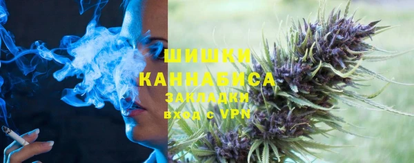 стаф Балахна