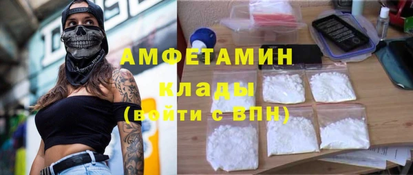 индика Сосновка