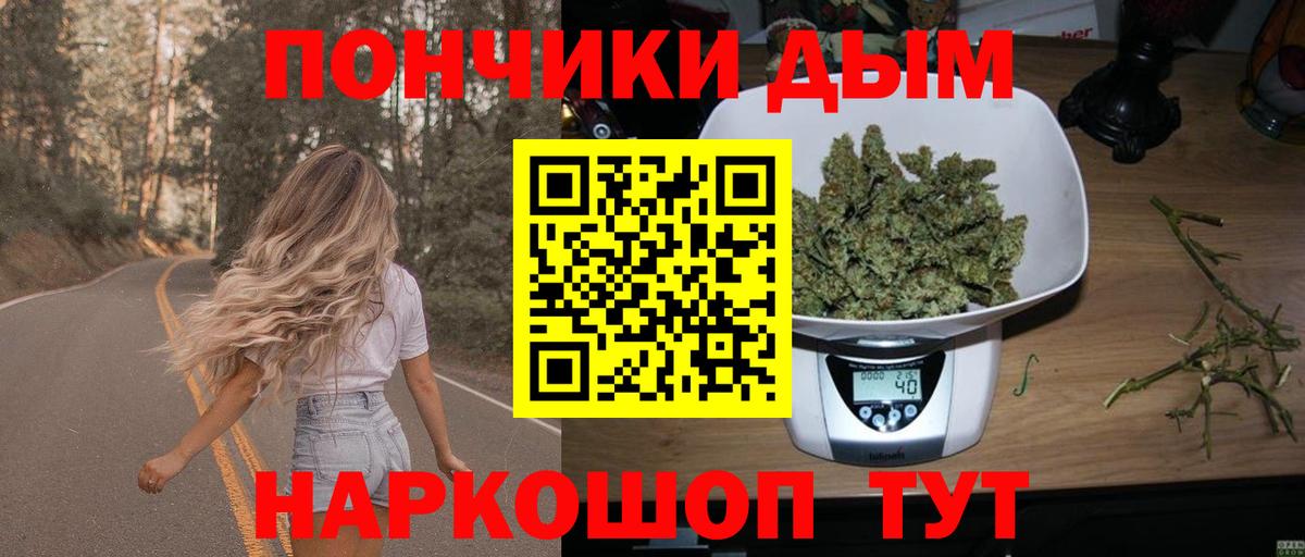 Каннабис планчик Коммунар